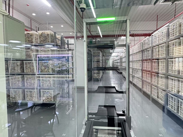 From Tradition to Modernization: The Standardization Journey of Pubei Chenpi