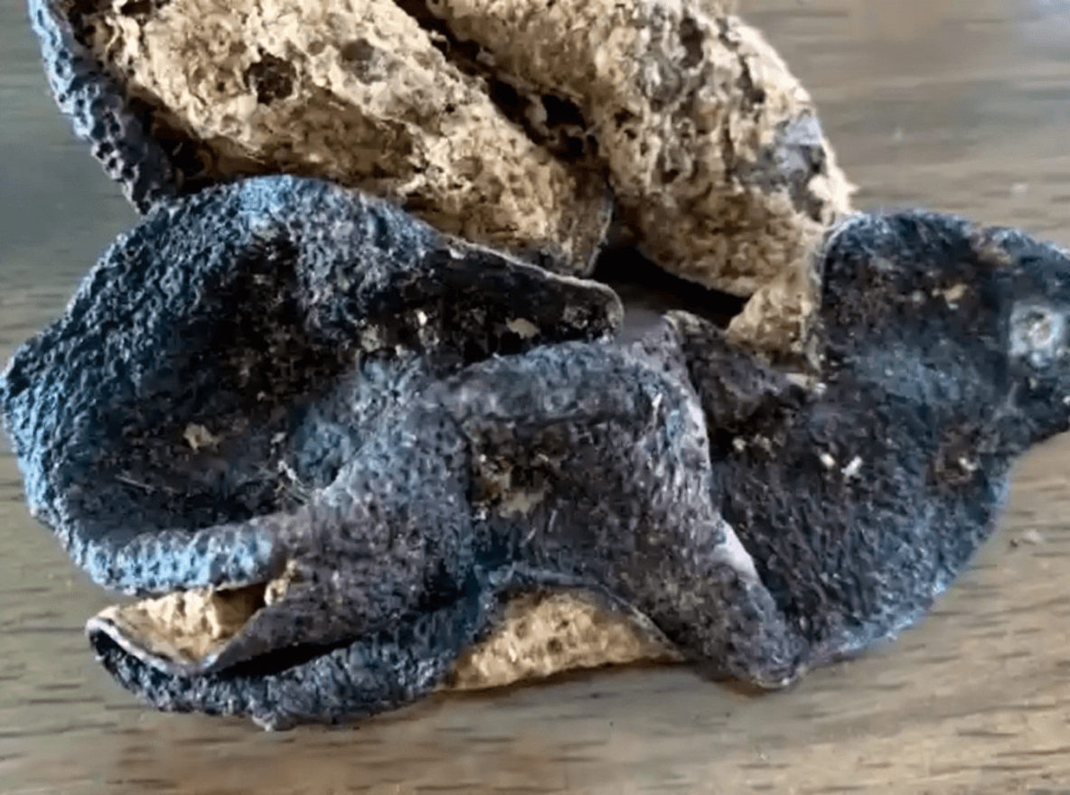 Is Dark Chenpi Normal