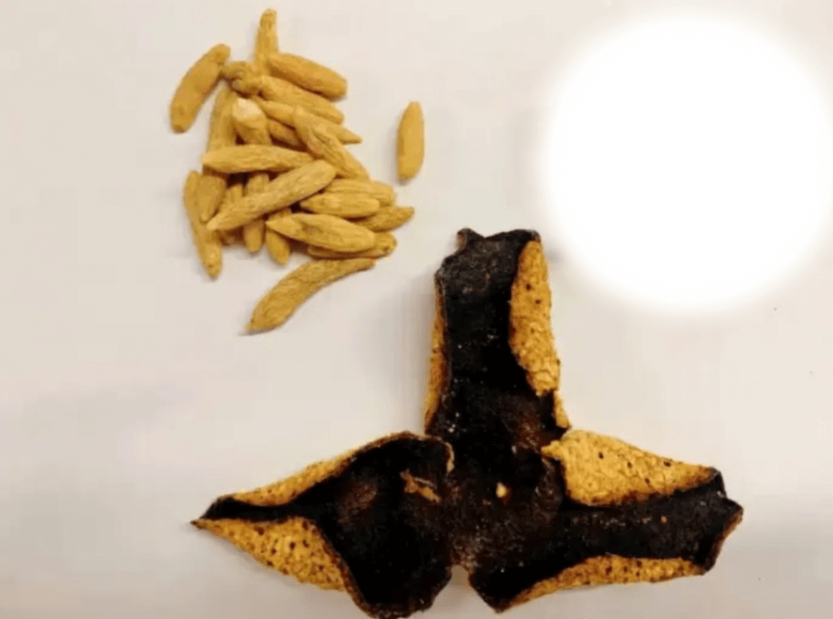 陈皮、山楂与麦冬的搭配方式