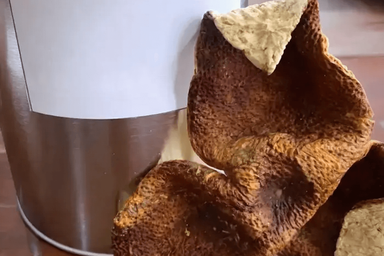 Distinguishing 10-Year vs 15-Year Chenpi