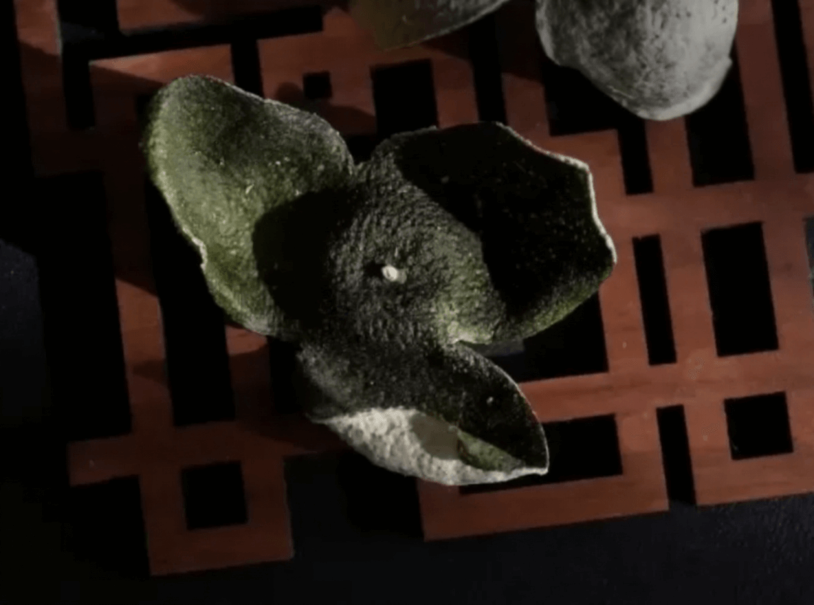 Chenpi vs Green Peel