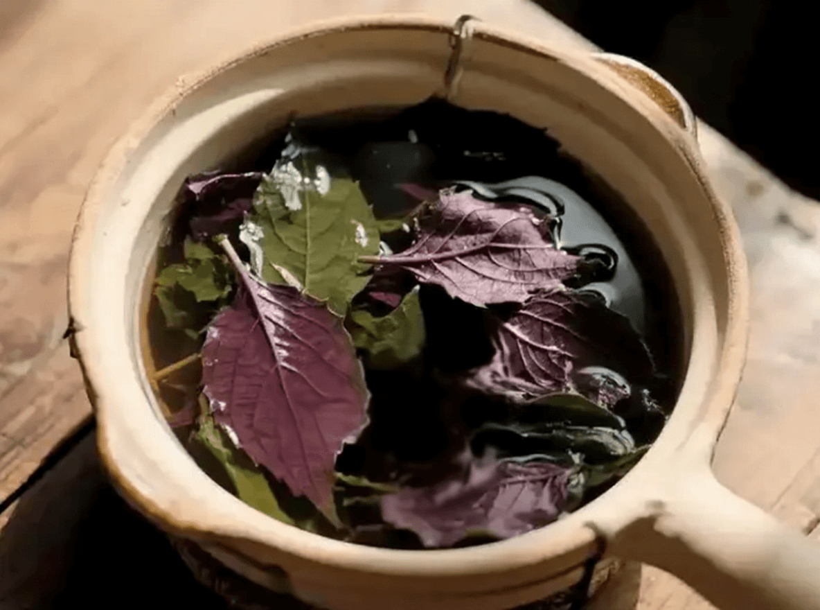 紫苏陈皮生姜水的功效与制作：解表散寒之良方