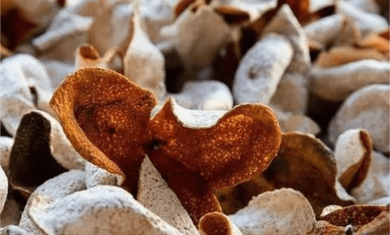 Chenpi vs Fresh Citrus Peel: Differences