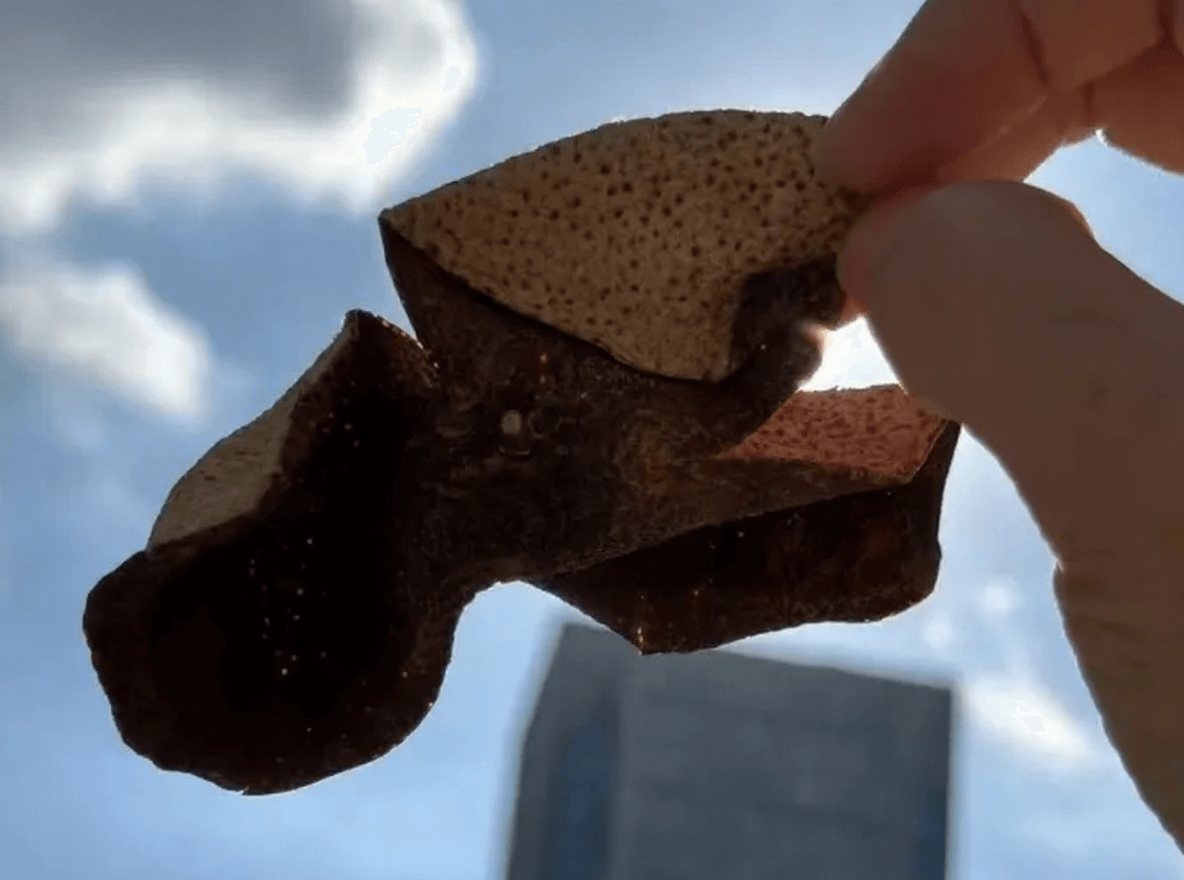 Other Chenpi Origins