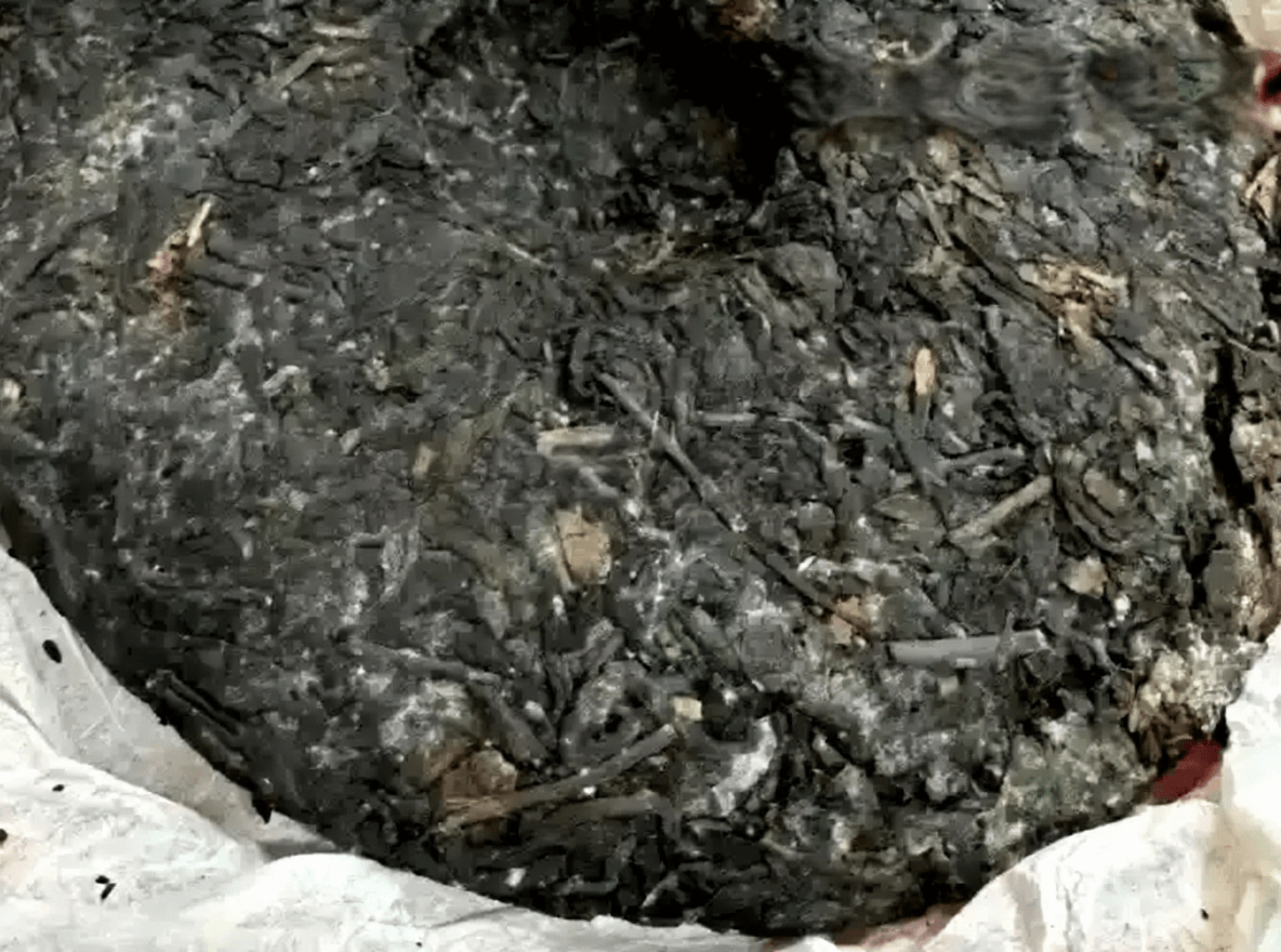 Molded chenpi puer image