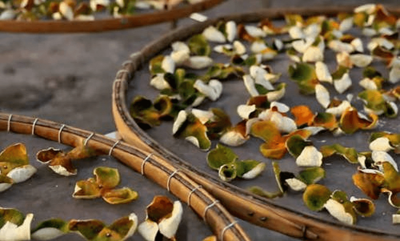 南北方陈皮保存方法差异