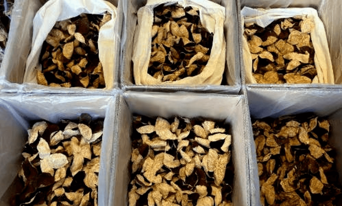 Sediment in Chenpi Tea: Normal or Not?