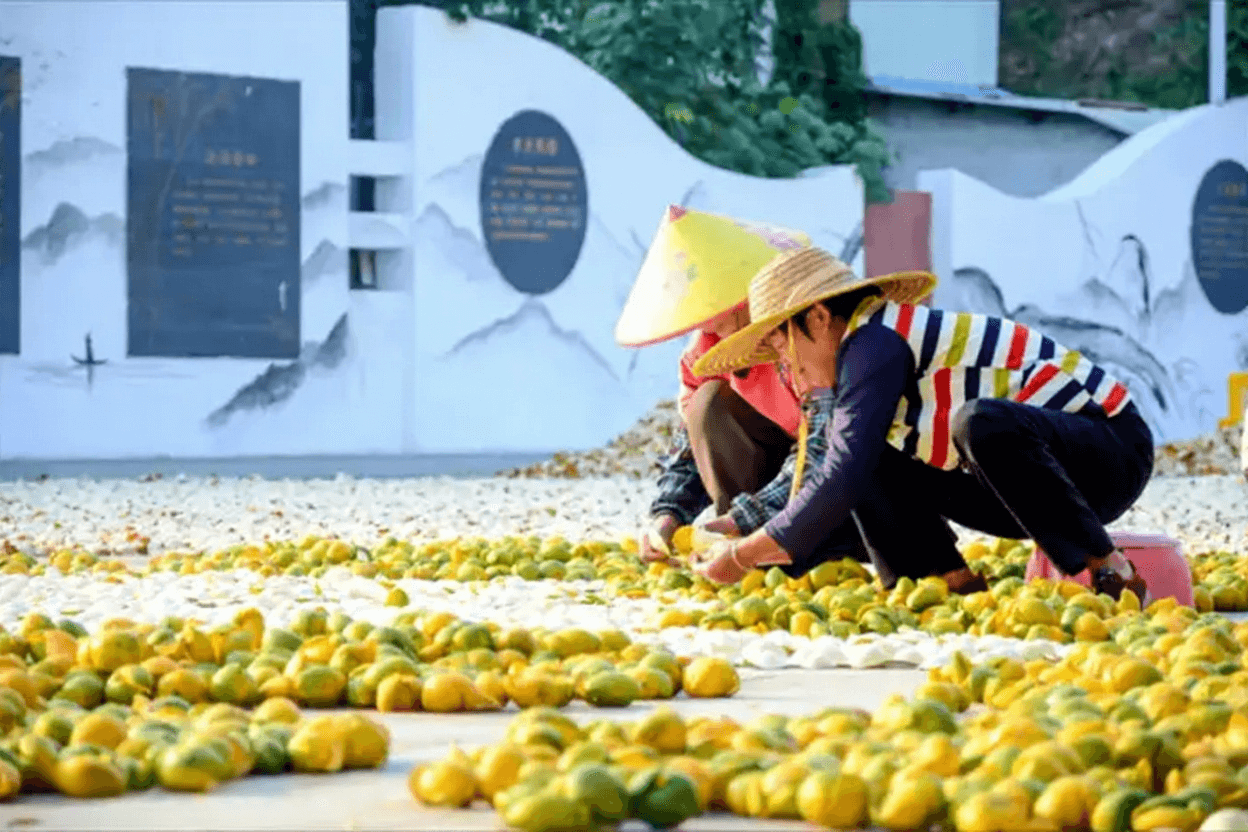 自晒橘皮放久了没陈皮香味正常吗
