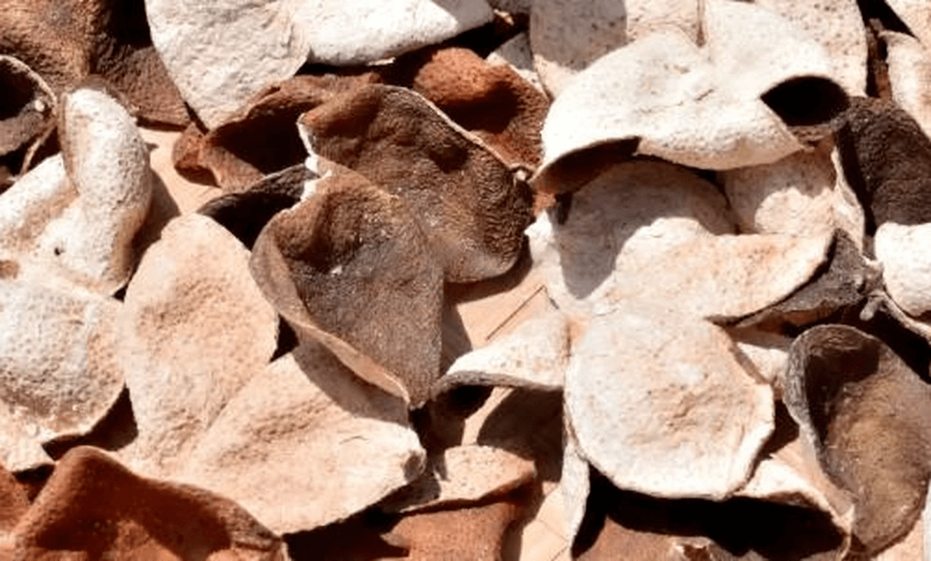 Why White Particles Appear in Chenpi Tea