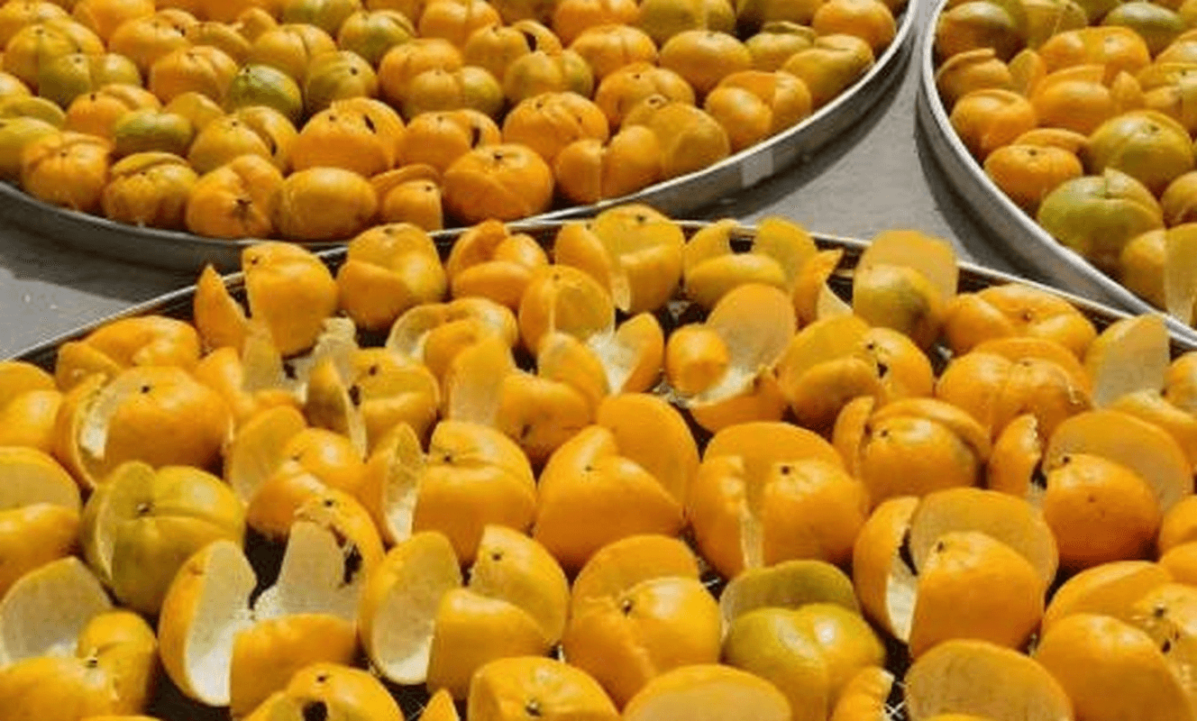 Red Peel vs Green Peel for Chenpi Collecting