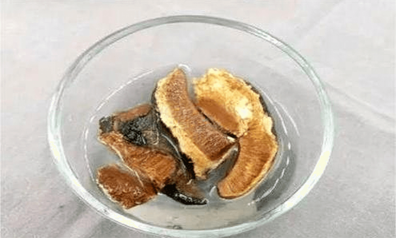 Lingzhi and Dried Tangerine Peel Duck Soup Recipe