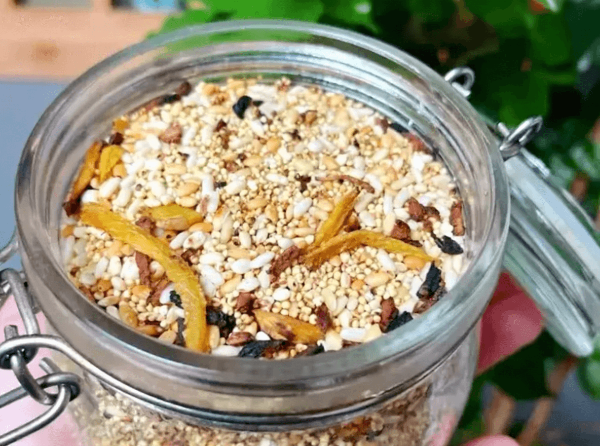 Tangerine Peel Ginger Rice Tea Image