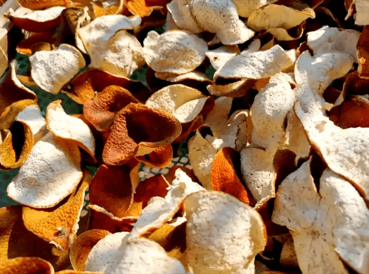 Aged Chenpi vs Fresh Citrus Peel