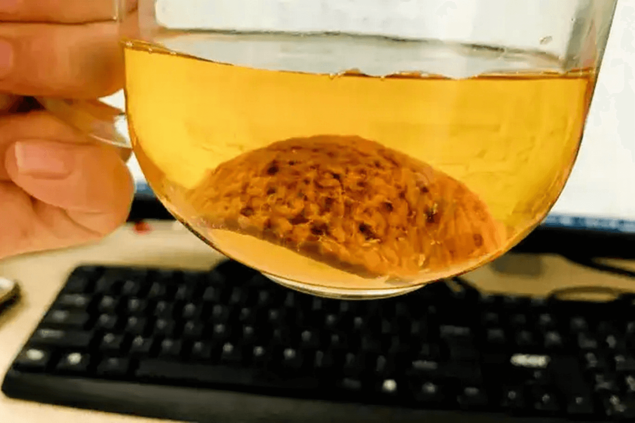 如何冲泡一杯正宗的陈皮茶?详细步骤指南