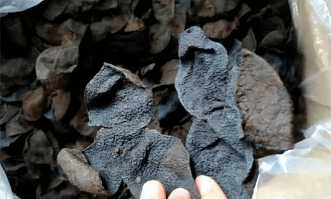 Chenpi Milk Tea: Method and Practical Notes