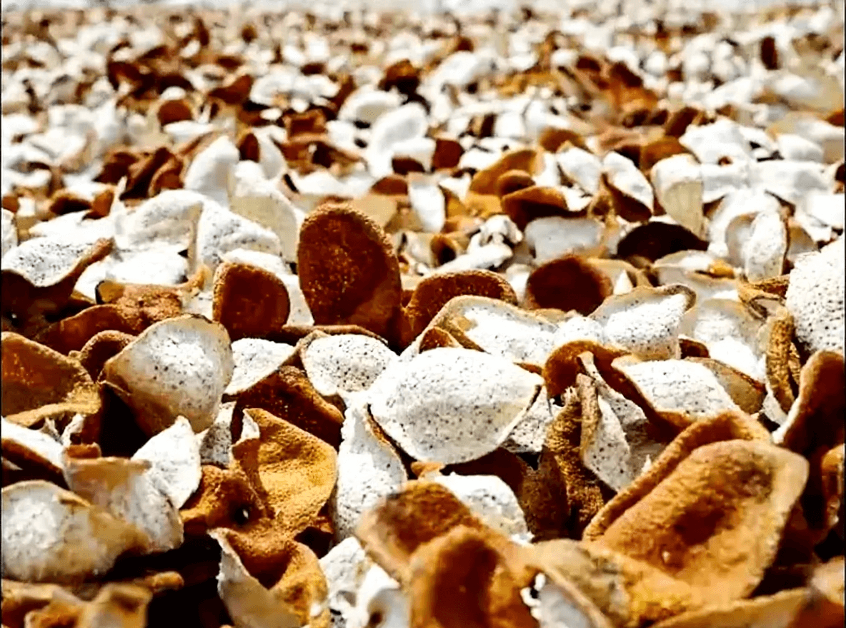 自家晒的陈皮放久了还能食用吗