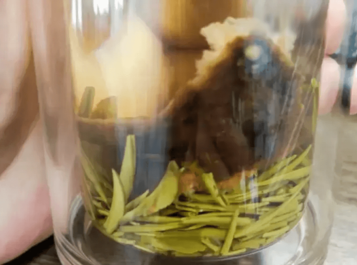 Brewing Chenpi and green tea