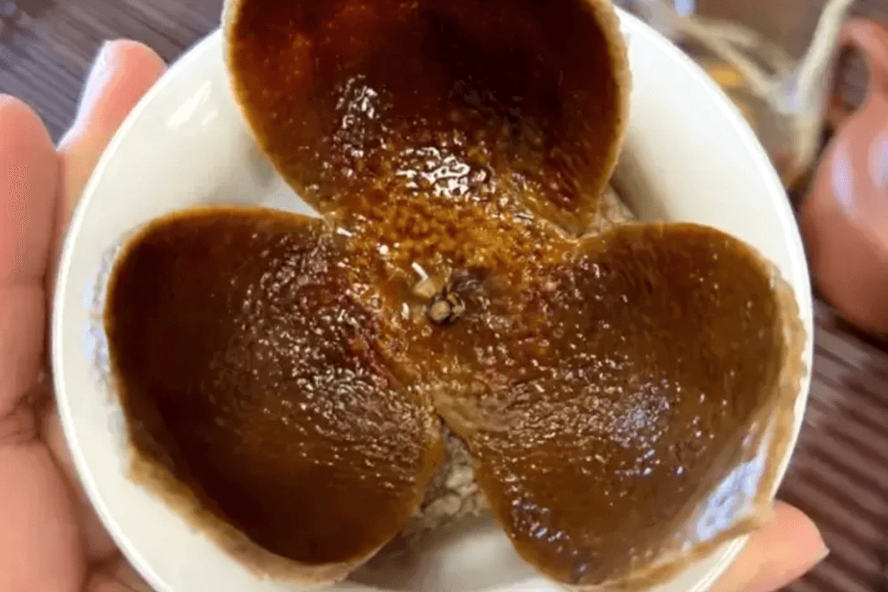 Can You Eat Chenpi After Boiling? Five Creative Ways to Use It