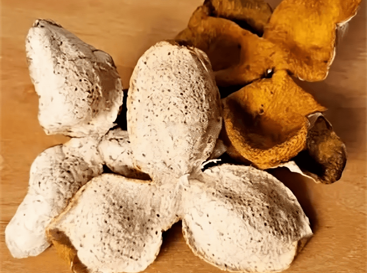 陈皮泡水苦应该怎么办?化解苦味的五个妙招