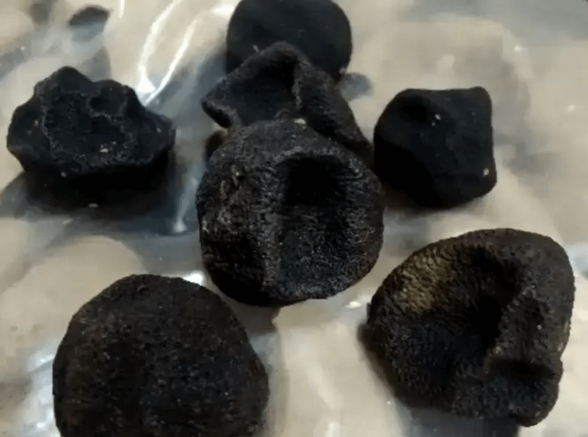 Is Darkened Chenpi Still Usable?