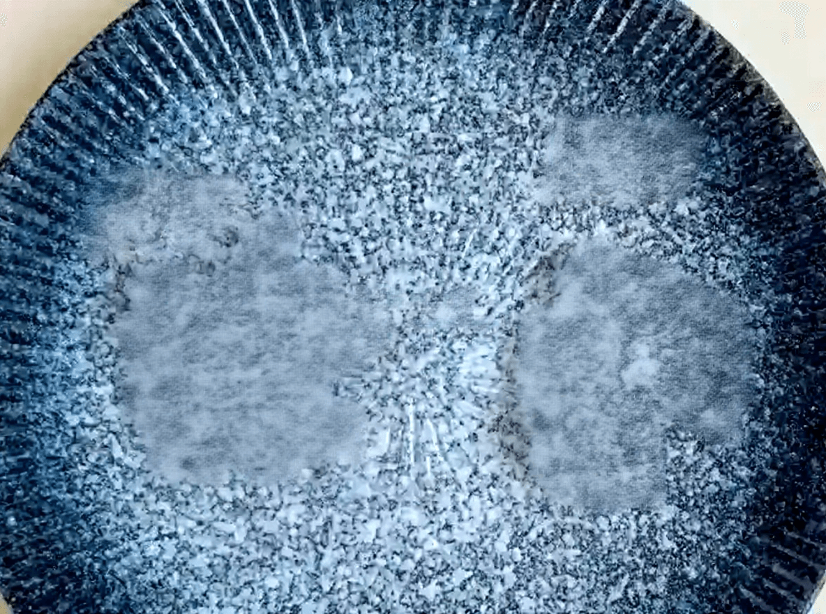 Common Chenpi Pairings for Brewing